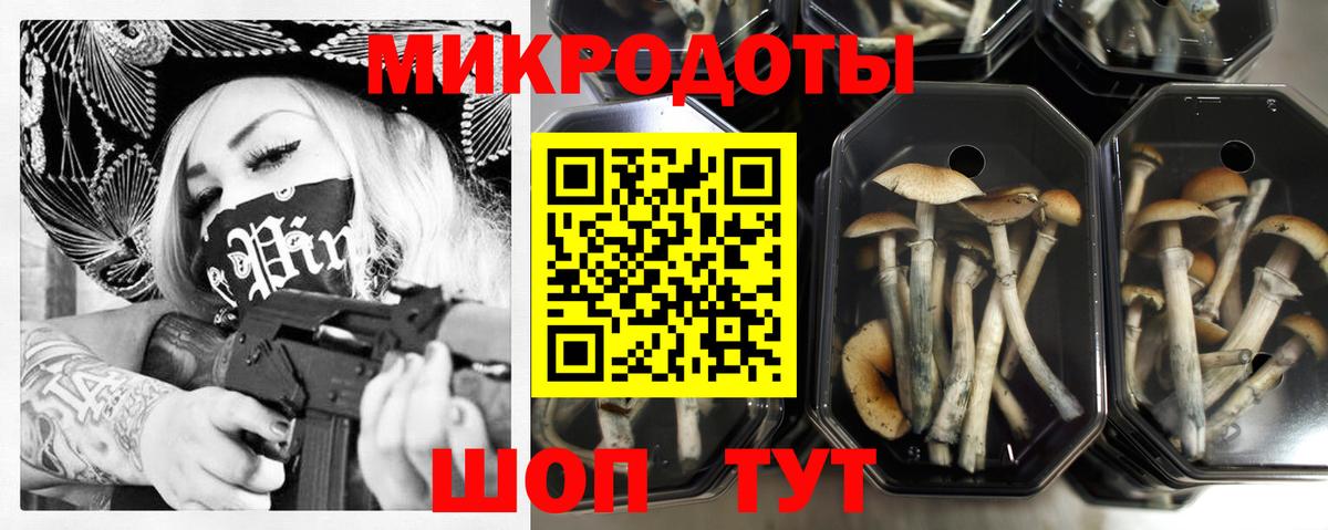Псилоцибиновые грибы GOLDEN TEACHER Миасс